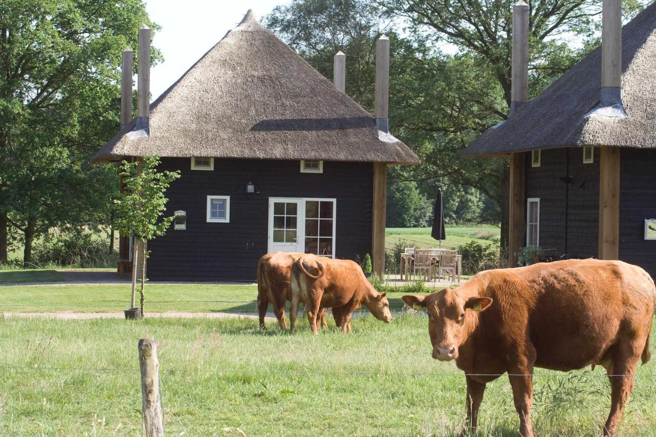 Villa Erve Woolderink Wierden Exterior foto