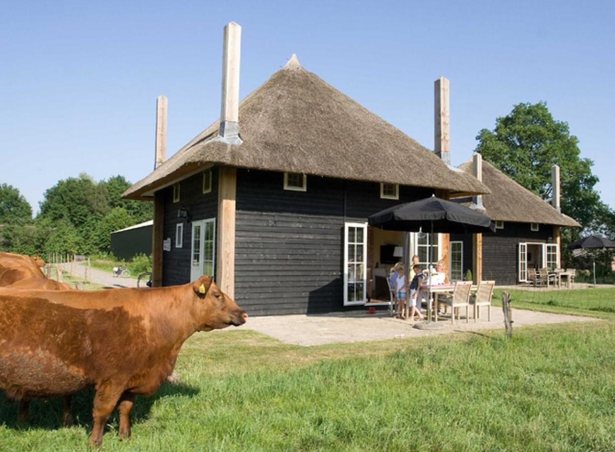 Villa Erve Woolderink Wierden Exterior foto